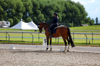 02099 - 2026 Dressage Festival - Sunday July 5th