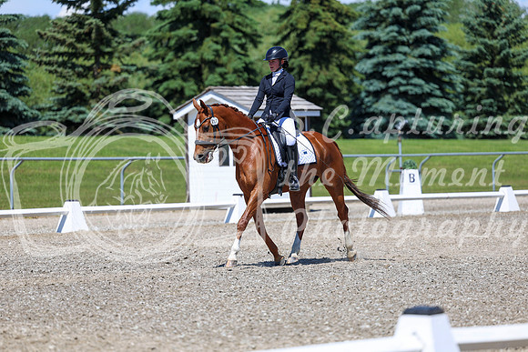 11127 - 2026 Dressage Festival - Sunday July 5th