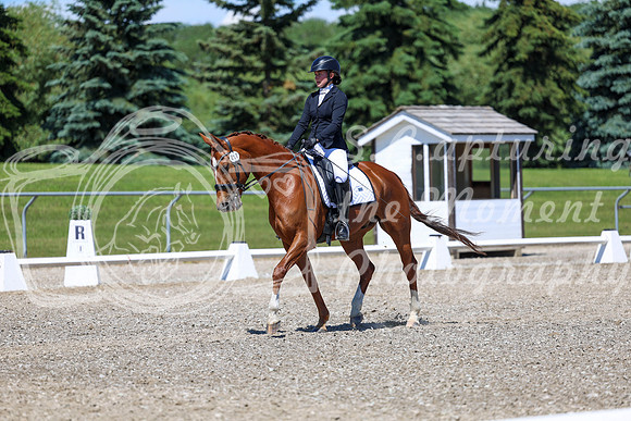 11129 - 2026 Dressage Festival - Sunday July 5th