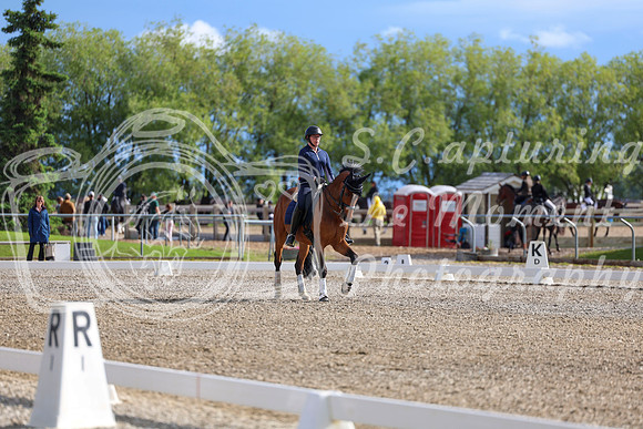 02143 - 2026 Dressage Festival - Sunday July 5th