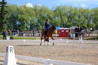 02145 - 2026 Dressage Festival - Sunday July 5th