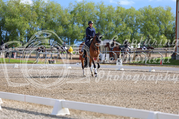 02146 - 2026 Dressage Festival - Sunday July 5th