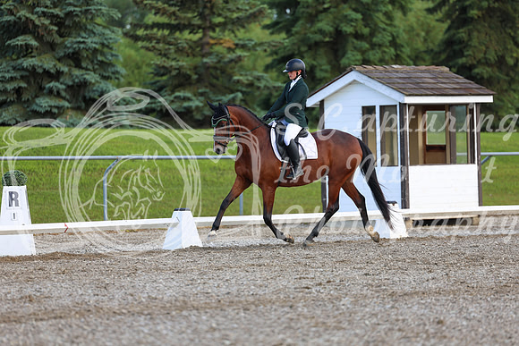 05814 - 2026 Dressage Festival - Sunday July 5th