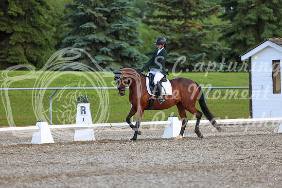 05816 - 2026 Dressage Festival - Sunday July 5th