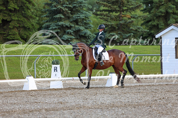 05817 - 2026 Dressage Festival - Sunday July 5th