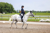 04875 - 2026 Dressage Festival - Sunday July 5th