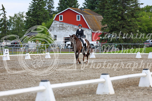 05347 - 2026 Dressage Festival - Sunday July 5th