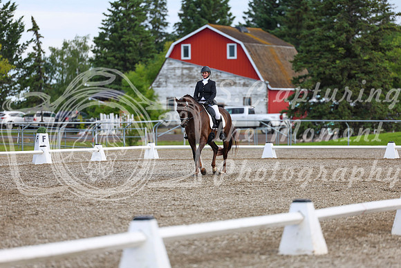 05349 - 2026 Dressage Festival - Sunday July 5th