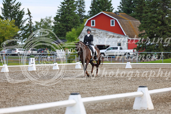 05352 - 2026 Dressage Festival - Sunday July 5th