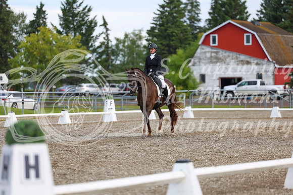 05356 - 2026 Dressage Festival - Sunday July 5th