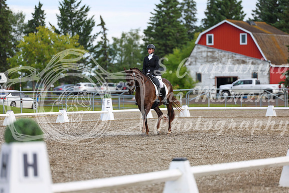 05355 - 2026 Dressage Festival - Sunday July 5th