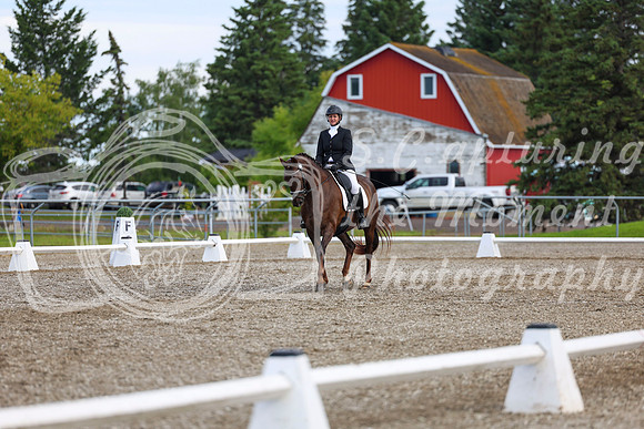 05354 - 2026 Dressage Festival - Sunday July 5th
