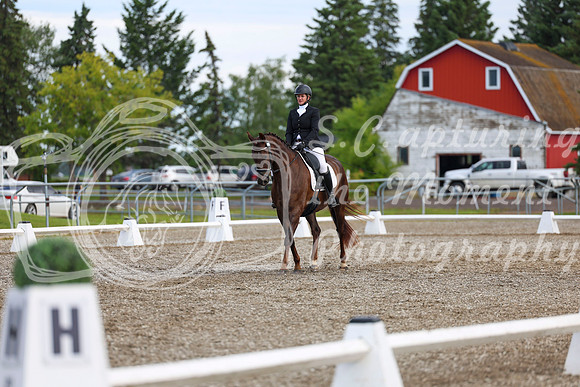 05357 - 2026 Dressage Festival - Sunday July 5th