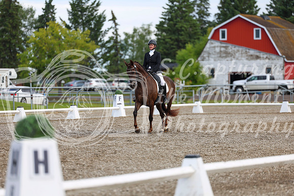 05360 - 2026 Dressage Festival - Sunday July 5th