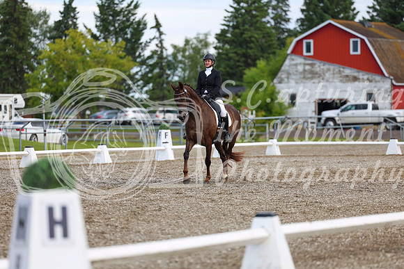 05361 - 2026 Dressage Festival - Sunday July 5th