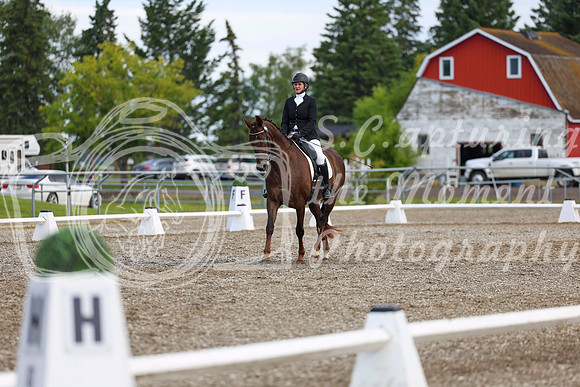 05363 - 2026 Dressage Festival - Sunday July 5th