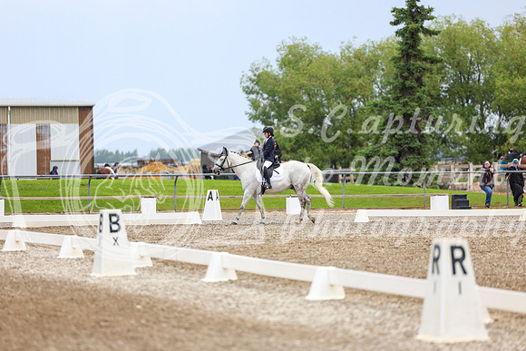 04919 - 2026 Dressage Festival - Sunday July 5th
