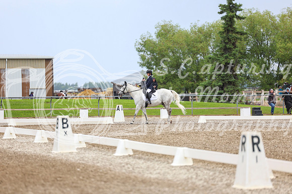 04920 - 2026 Dressage Festival - Sunday July 5th