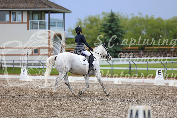 04917 - 2026 Dressage Festival - Sunday July 5th