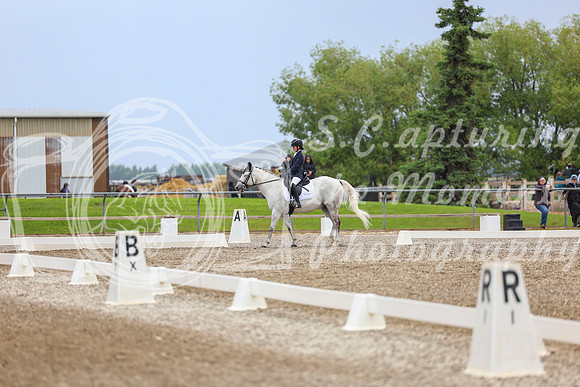 04921 - 2026 Dressage Festival - Sunday July 5th