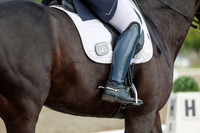 02666 - 2026 Dressage Festival - Sunday July 5th