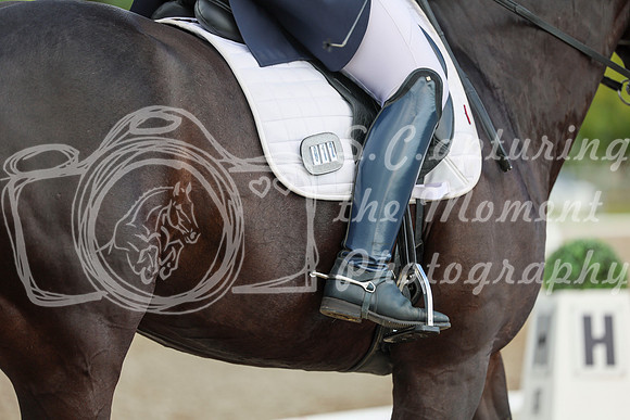 02666 - 2026 Dressage Festival - Sunday July 5th