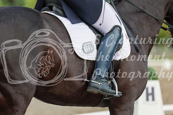 02668 - 2026 Dressage Festival - Sunday July 5th