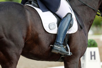 02667 - 2026 Dressage Festival - Sunday July 5th