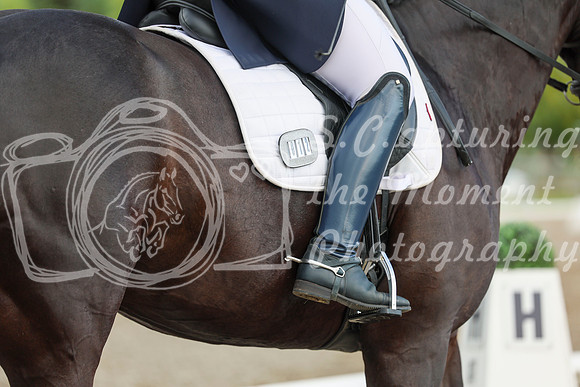 02667 - 2026 Dressage Festival - Sunday July 5th