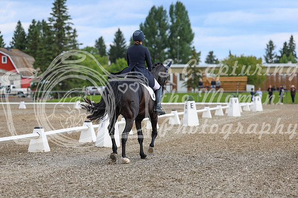 02670 - 2026 Dressage Festival - Sunday July 5th