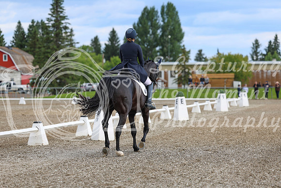 02669 - 2026 Dressage Festival - Sunday July 5th