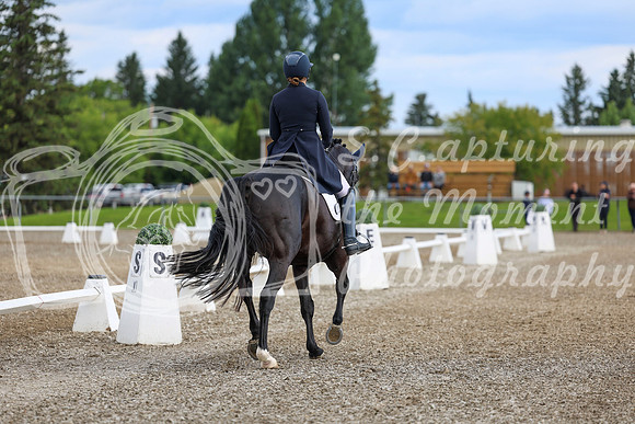 02673 - 2026 Dressage Festival - Sunday July 5th