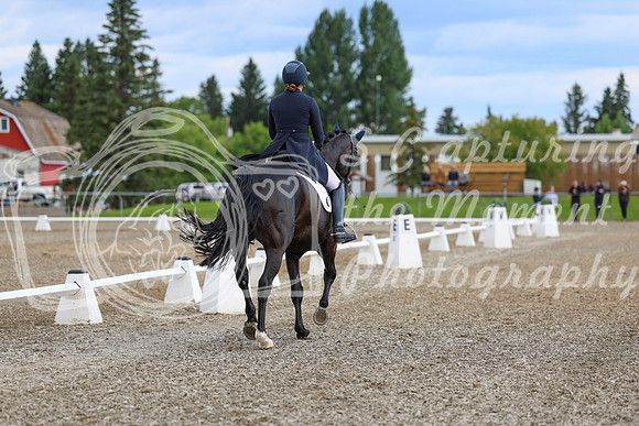 02672 - 2026 Dressage Festival - Sunday July 5th