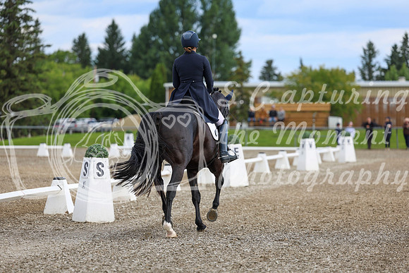 02674 - 2026 Dressage Festival - Sunday July 5th