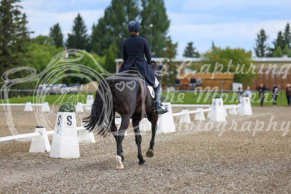 02675 - 2026 Dressage Festival - Sunday July 5th