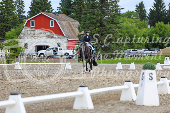 02679 - 2026 Dressage Festival - Sunday July 5th