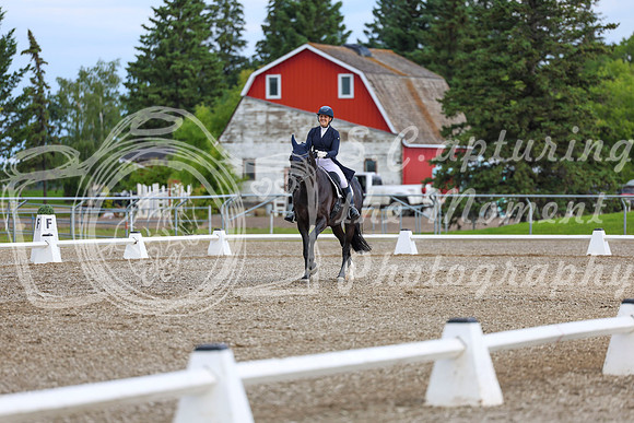 02682 - 2026 Dressage Festival - Sunday July 5th