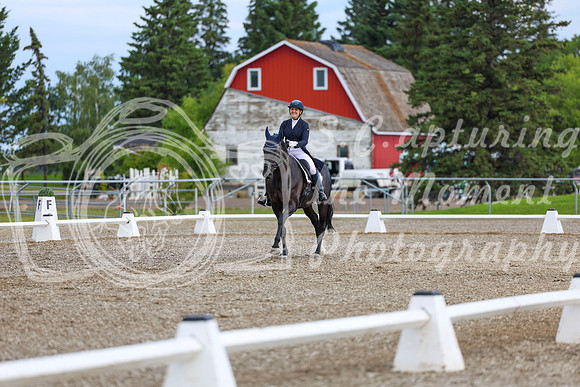 02684 - 2026 Dressage Festival - Sunday July 5th