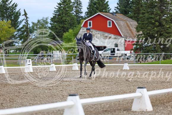 02686 - 2026 Dressage Festival - Sunday July 5th