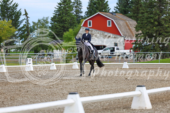 02687 - 2026 Dressage Festival - Sunday July 5th