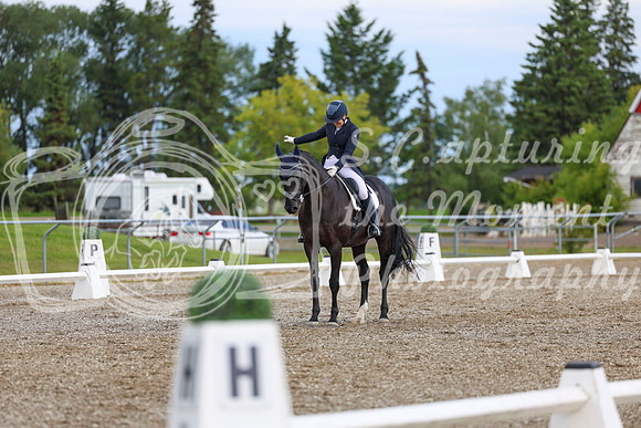02688 - 2026 Dressage Festival - Sunday July 5th