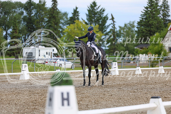 02690 - 2026 Dressage Festival - Sunday July 5th