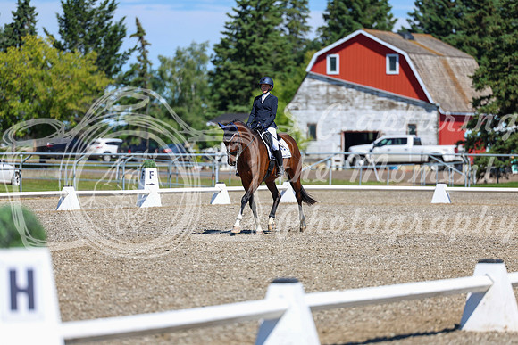 08290 - 2026 Dressage Festival - Sunday July 5th