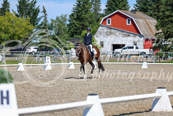 08288 - 2026 Dressage Festival - Sunday July 5th