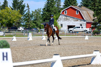 08291 - 2026 Dressage Festival - Sunday July 5th