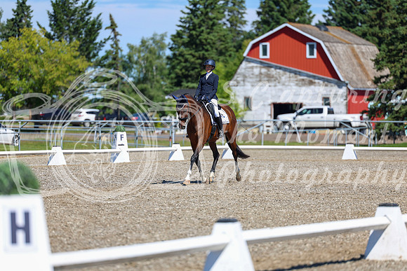 08291 - 2026 Dressage Festival - Sunday July 5th