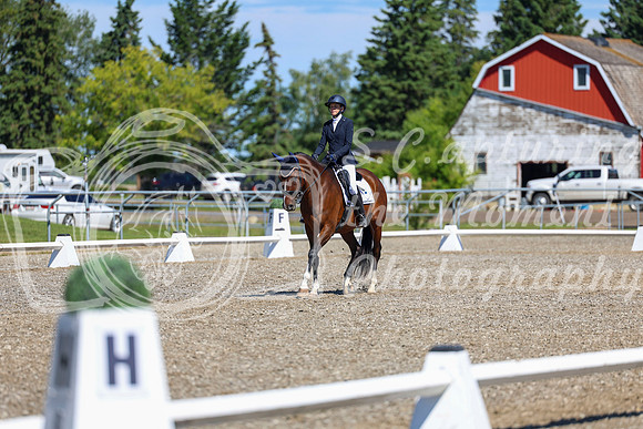 08295 - 2026 Dressage Festival - Sunday July 5th