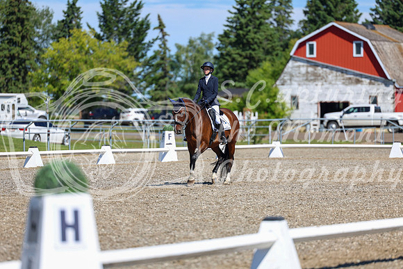 08293 - 2026 Dressage Festival - Sunday July 5th