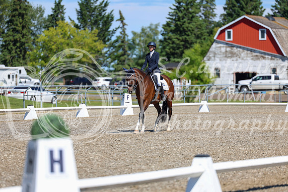 08296 - 2026 Dressage Festival - Sunday July 5th