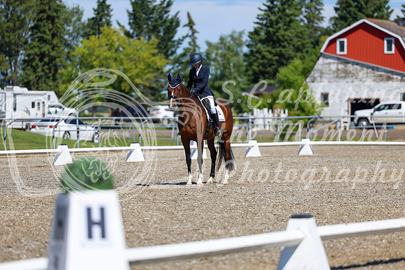 08300 - 2026 Dressage Festival - Sunday July 5th